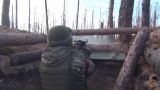 На донецком направлении в войсках киевского режима выросло количество потерь — ЛНР