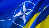 В Пентагоне прокомментировали вступление Украины в НАТО