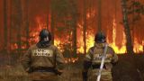 Синоптики МЧС предупредили о масштабных лесных пожарах в ДФО