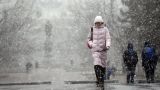 Синоптики прогнозируют снег в Москве 9 января