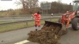 Под Брауншвейгом с трассы убирают навоз после акции немецких фермеров — видео