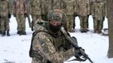 Немецкий консенсус минус Киев: Германия едина в оружейном отказе Украине — опрос