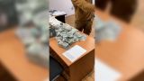 В украинском Чернигове полиция нашла у экс-главы военно-врачебной комиссии $ 1 млн