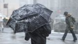 Синоптики предупредили об опасной погоде в Москве и области 4 декабря