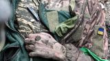Военкор: Российские военные уничтожили под Белогоровкой «взвод 55+»