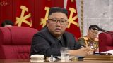 Вид похудевшего Ким Чен Ына вызвал всенародную скорбь — СМИ КНДР