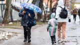 Гидрометцентр: 24 марта в Москве +7 градусов, дождь