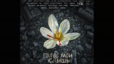 Российские звезды записали хиты Муслима Магомаева в память жертв теракта в «Крокусе»