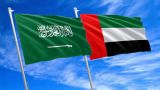 Мощные новички: ОАЭ и Саудия находятся на пути в БРИКС