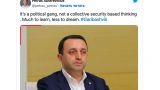 Евродепутат нахамил премьеру Грузии: «Надо меньше мечтать»