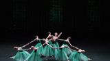 Новая тенденция: Южная Корея вновь отменила артистов балета Большого театра