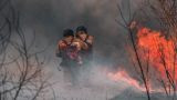 В Луганске разгорелся природный пожар