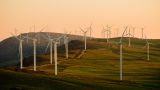 Казахстан, Узбекистан и Азербайджан хотят вместе продавать «зеленую» энергию Европе