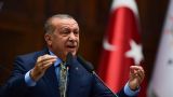 Эрдоган: Поддержав курдов в Сирии, США доверили ягненка волку
