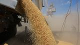 Продление зерновой сделки ничего не изменит — военный аналитик