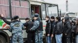 В Красноярске только за один рейд по рынку задержано беспрецедентное число мигрантов