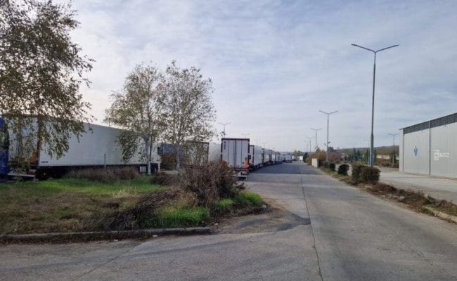 Молдавские фрукты не пускают в ЕС: На границе с Румынией скопилось десятки фур