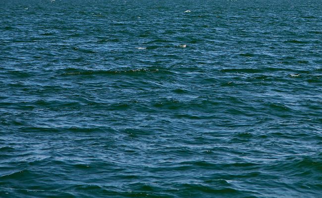 В РАН рассмотрят проект переброски в Донбасс вод рек Печора и Северная Двина