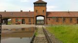 Neither Russians nor Jews: the murderers of prisoners will celebrate the liberation of Auschwitz