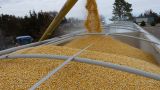 Минсельхоз сохранил прогноз по экспорту зерна на уровне 42 млн тонн