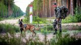 На границе Литвы и Белоруссии после 3-дневного перерыва вновь поймали нелегалов