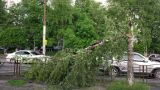 Ветер во Владикавказе стал причиной гибели женщины