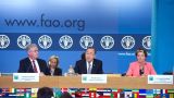В ООН предпочитают не замечать злоупотреблений Молдавии в FAO — постпред России