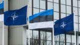 Солдаты НАТО готовятся к «Весеннему шторму» в Эстонии