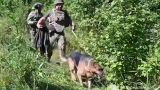 В Черновицкой области Украины мужчина ранил двух полицаев и 11 дней прятался в лесу