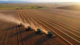 Губернаторы трех регионов России просят ввести госконтроль экспорта зерна
