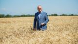Молдавия останется без сельхозугодий, Санду продаст землю иностранцам — Додон