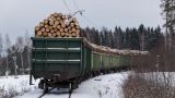 В Томской области раскрыт канал контрабанды леса в Китай