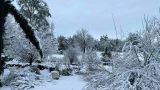 Австралию накрыл аномальный снегопад