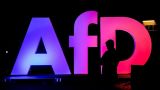 Bild: Почти половина немцев выступает за запрет партии АдГ