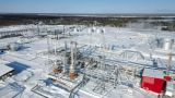 Russia abandons the LNG sanctions project: gas will be used for electricity and AI