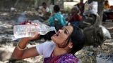 Экстремальная жара в странах Азии унесла жизни десятков людей