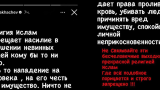 Хабиб и Махачев выдержали паузу и пособолезновали пострадавшим в терактах