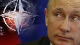 Американский эксперт: Влияние России проникает в центр западной цивилизации