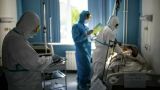 В России за сутки выявлено 8 328 новых случаев заражения коронавирусом