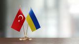 Украина будет снабжать Турцию двигателями для БПЛА