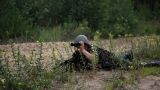 Белорусские пограничники готовятся ликвидировать вооружённые отряды на границе с ЕС