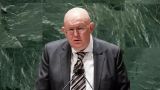 Небензя: Совбез ООН не оправдал ожиданий