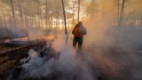 В Рязанской области сохраняется один очаг лесных пожаров