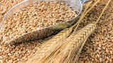 «Пшеницей единой»: ливанские запасы стремительно истощаются