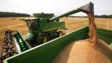Минсельхоз: Экспорт российского зерна может составить 45 млн тонн