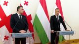 Венгрия считает, что Грузия осенью должна получить статус кандидата в члены ЕС