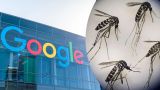 Сделать Америку великой: Google хочет выпустить 32 млн зараженных комаров