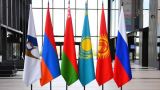 Евразийский секрет экономического рывка Армении: объëмы торговли бьют рекорды