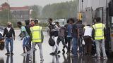 Голландская система предоставления убежища — в «непрерывном кризисе»