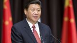 Си Цзиньпин выразил готовность поговорить с Зеленским — СМИ